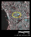 陸域観測技術衛星「だいち」搭載センサLバンド合成開口レーダ(PALSAR；パルサー)による2010年7月鹿児島県南大隈町土砂崩れ発生地域の災害前後のカラー合成画像