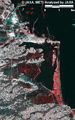 陸域観測技術衛星「だいち」(ALOS)搭載のLバンド合成開口レーダ(PALSAR；パルサー)による災害前の2009年11月12日観測の画像を赤に、災害後の2011年3月16日観測の画像を緑と青に割り当てたカラー合成画像から、相馬市東部の拡大図