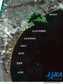 陸域観測技術衛星「だいち」(ALOS)搭載のLバンド合成開口レーダ(PALSAR；パルサー)カラー合成画像(赤に2010年11月20日観測入射角34.3度、緑・青:2011年4月7日観測入射角34.3度)より宮城県沿岸域の湛水状況拡大図