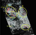 陸域観測技術衛星「だいち」(ALOS)搭載のＬバンド合成開口レーダ(PALSAR；パルサー)による2009年3月8日観測のオーストラリア・メルボルン北部のキルモア近郊を夜間に観測した画像に、過去(2008年10月21日)の画像との比較から推定した消失域を薄赤く表示しました(この図ではA、B、Cの3カ所確認できます)。