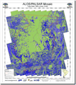 PALSARデータを使用して作成した森林(緑)、非森林域(青)の分類