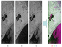 2006年8月19日にPALSARで観測された千歳から苫小牧付近のHH,HV,VV偏波の各画像と、その偏波データをもとにRGB合成した画像