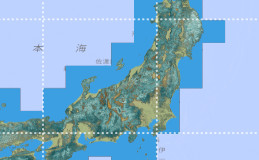 High-Resolution map of forest above-ground carbon storage Products