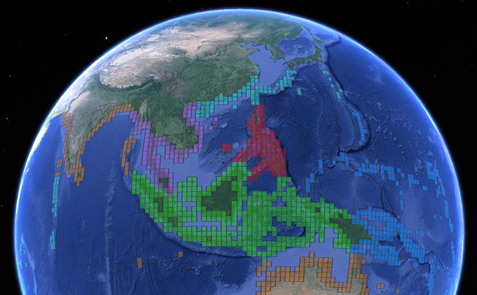 Global Mangrove Watch