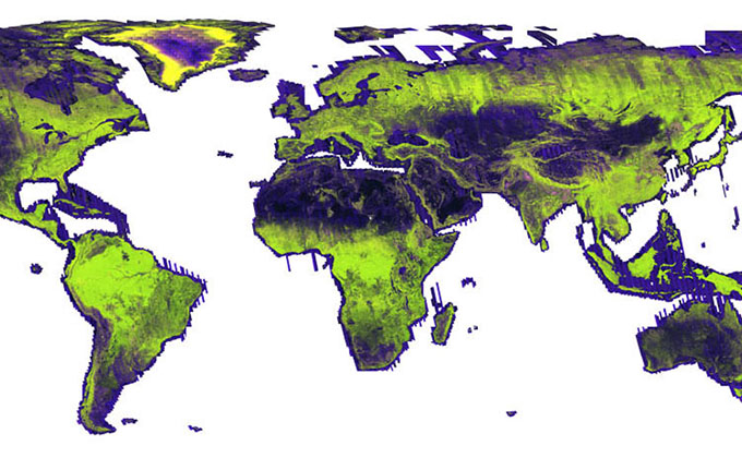 Forest map