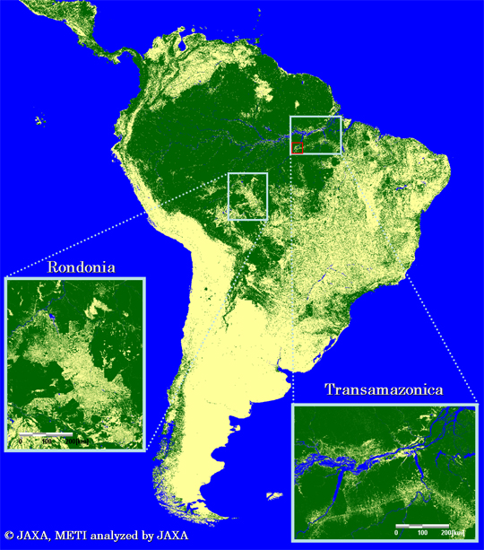 全球森林・非森林分類図(2009年分)