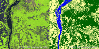PALSARモザイク画像(10m分解能)コンゴ川周辺、左:モザイク画像、右:森林・非森林分類図