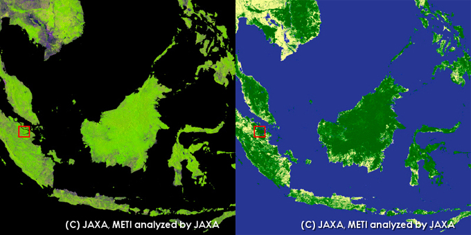 PALSARモザイク画像(10m分解能)インドネシア リアウ州周辺、左:モザイク画像、右:森林・非森林分類図