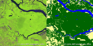 PALSARモザイク画像(10m分解能)インドネシア リアウ州周辺、左:モザイク画像、右:森林・非森林分類図