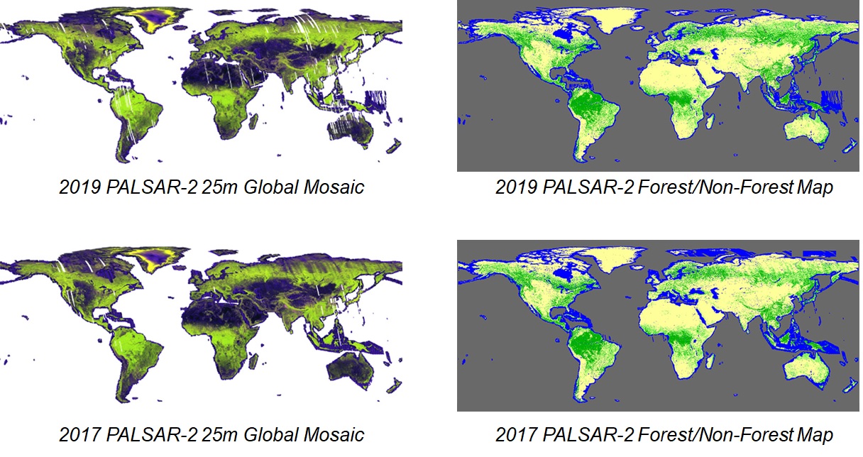 図1: (左上) 2019年/PALSAR-2の全球モザイク画像、(右上) 2019年/PALSAR-2の森林・非森林マップ、(左下) 2017年/PALSAR-2の全球モザイク画像、(右下) 2017年/PALSAR-2の森林・非森林マップ