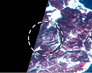 Figure 4: AVNIR-2 and PRISM pan-sharpened images in the same area as Figure 3