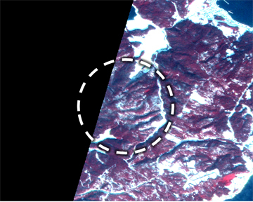 図4: 図3と同範囲でのAVNIR-2およびPRISMパンシャープン画像