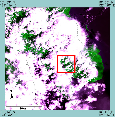 AVNIR-2観測によるレイテ島(2006年2月20日UT2:30頃)