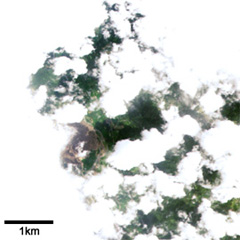 Enlarged Image of the area circled by red framework