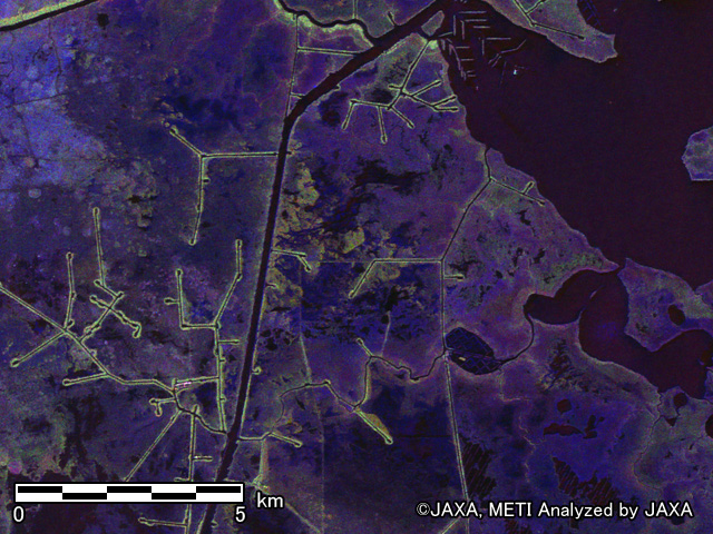 図4: ルイジアナ州の偏波カラー合成画像 拡大1