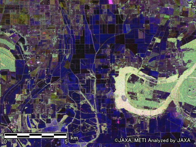 図4: ルイジアナ州の偏波カラー合成画像 拡大2