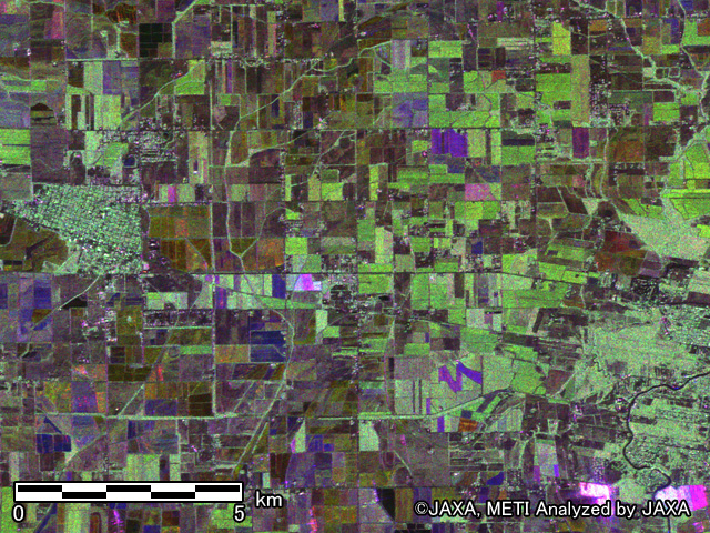 図4: ルイジアナ州の偏波カラー合成画像 拡大3