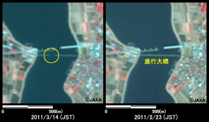 図12: 茨城県鹿行大橋付近の様子(約1km×1kmのエリア)