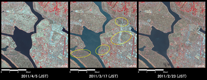 図7: 茨城県潮来市から神栖市周辺の様子(約8km×8kmのエリア)