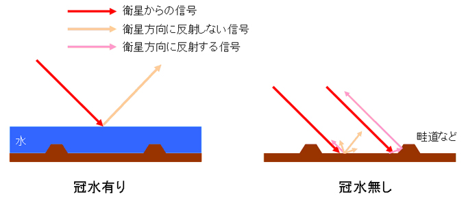 図3(c): 冠水有無による信号反射の違い