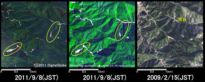 図2: 奈良県野迫川村西谷地区周辺の様子 (約2.5km×2.5kmのエリア)