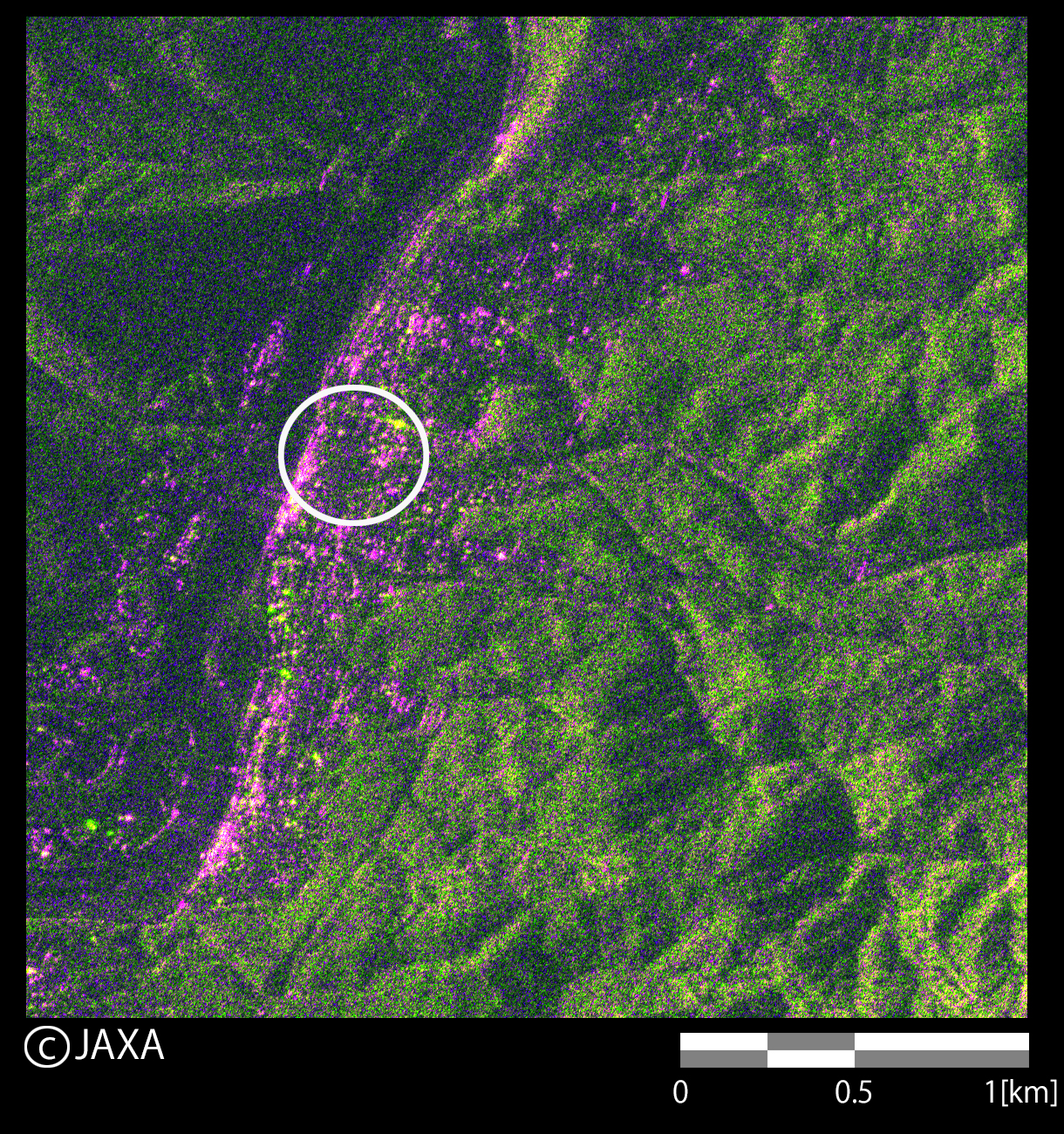 図2: 南木曽町付近の災害後カラー合成画像 (赤: HH, 緑: HV, 青: HH/HV) 
