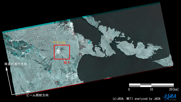 図3: 溶岩流出前後のPALSAR変化抽出画像