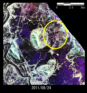  図5: Pi-SAR-Lによるチャイナート県洪水画像比較