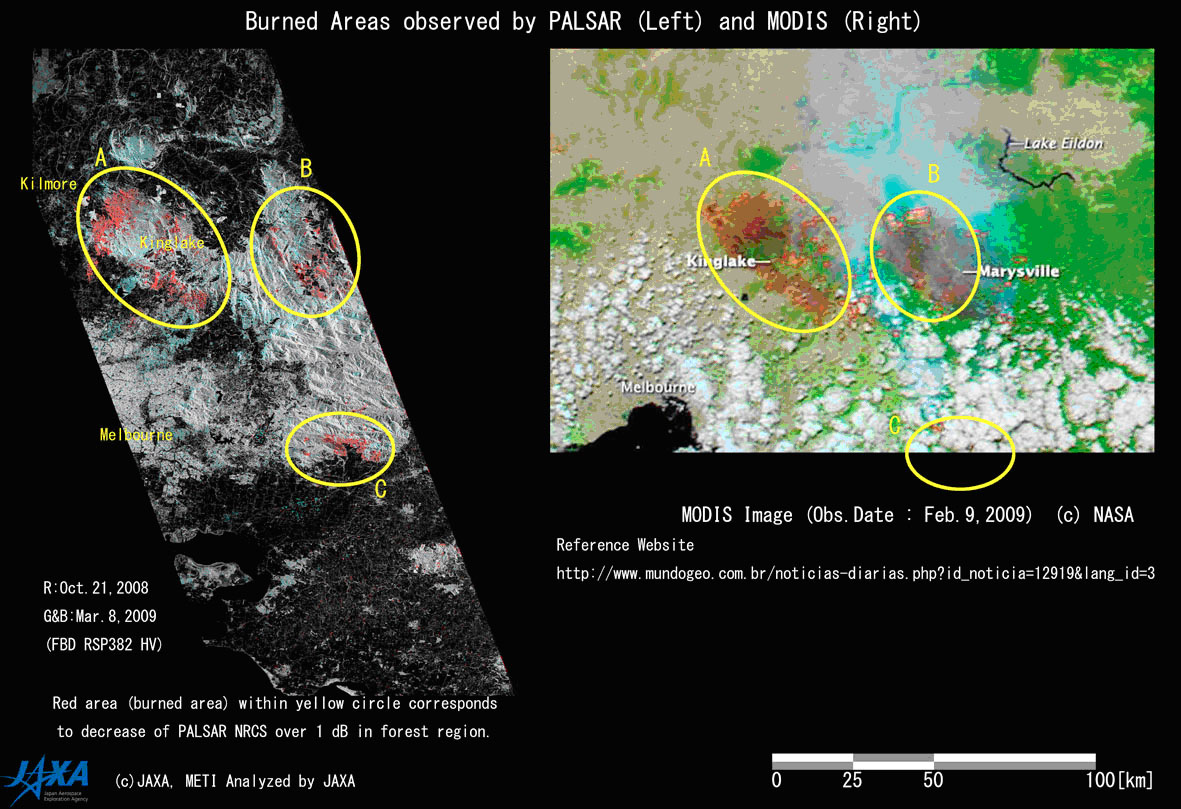 図1: PALSARによる被災地域(薄赤)とMODISの画像