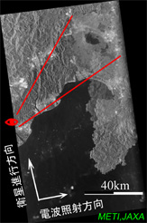 図1:陸域観測技術衛星「だいち」(ALOS)フェーズドアレイ方式Lバンド合成開口レーダ（PALSAR）が観測した富士山・伊豆半島