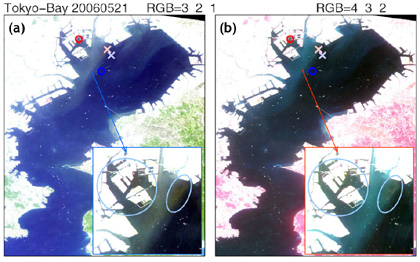 Figure 2: Tokyo Bay on May 21, 2006 observed by AVNIR-2.