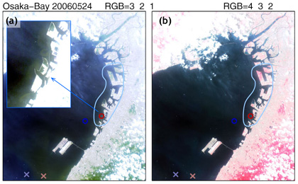 Figure 4: Osaka Bay on May 24, 2006 observed by AVNIR-2.