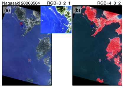 Figure 6: Seas around the Amakusa Islands observed by AVNIR-2 on May 4, 2006.