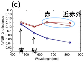 (c)は画像中の変色海域(赤系色)と非変色海域(青系色)を2組(計4点)抽出してプロットした図。横軸は波長、縦軸はAVNIR-2観測の反射率。○と×は左図中の記号と対応。