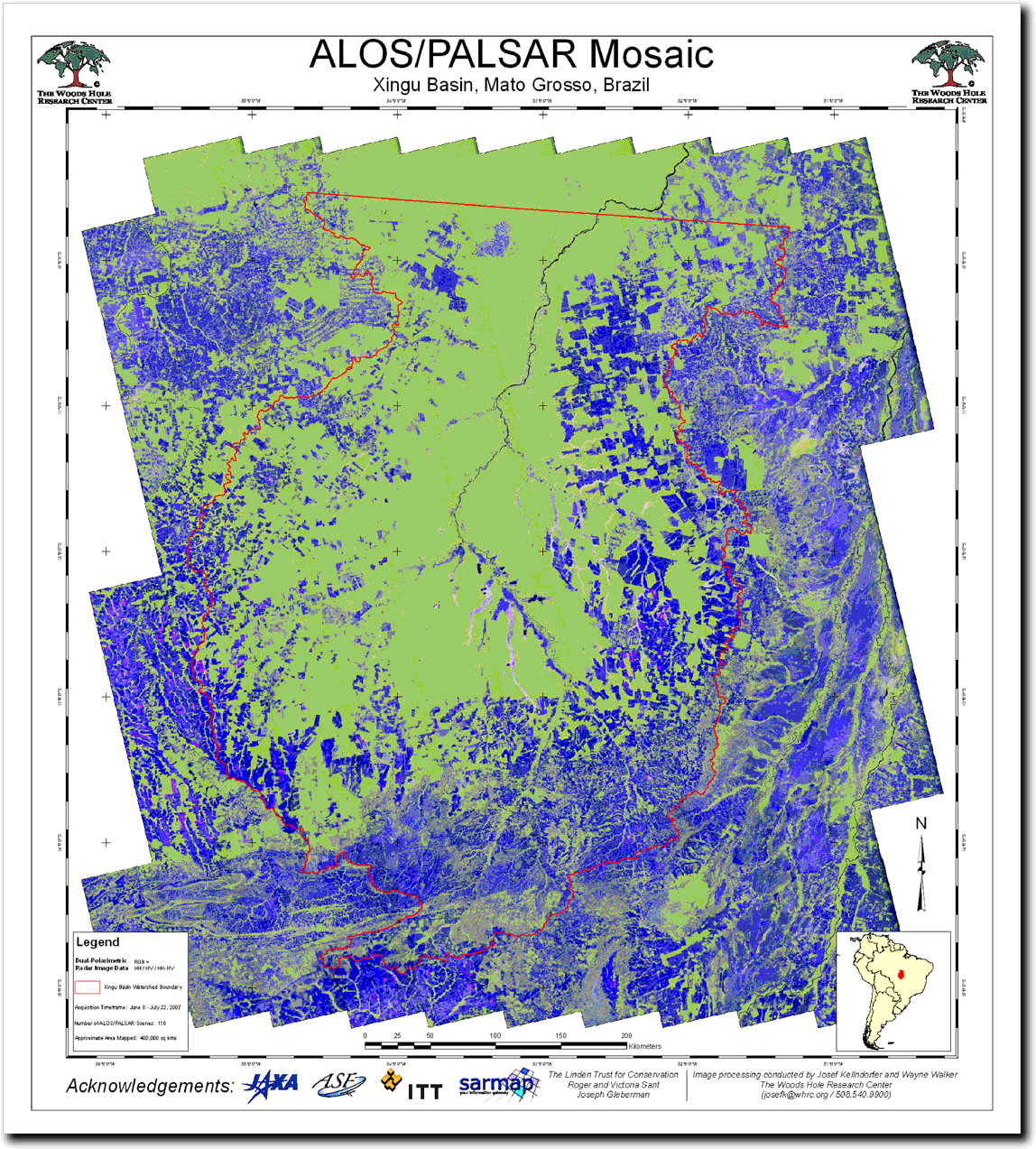 図: PALSARデータを使用して作成した森林(緑)、非森林域(青)の分類