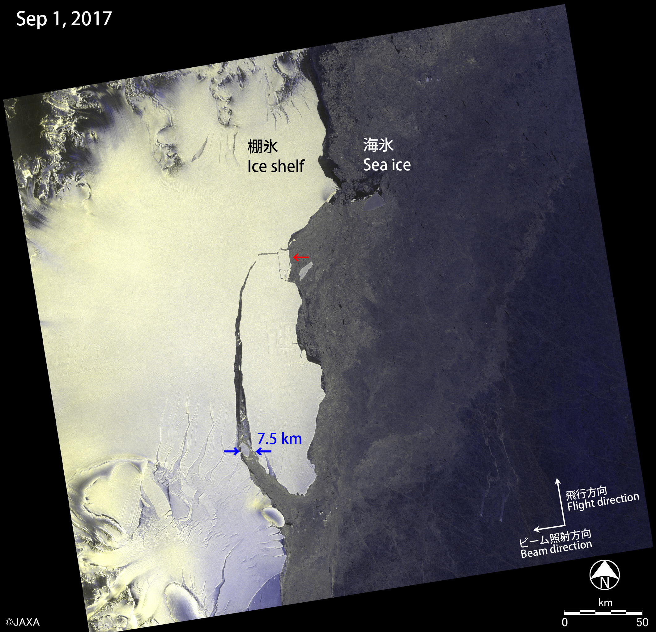 図6: 2017年9月1日（右）の観測画像