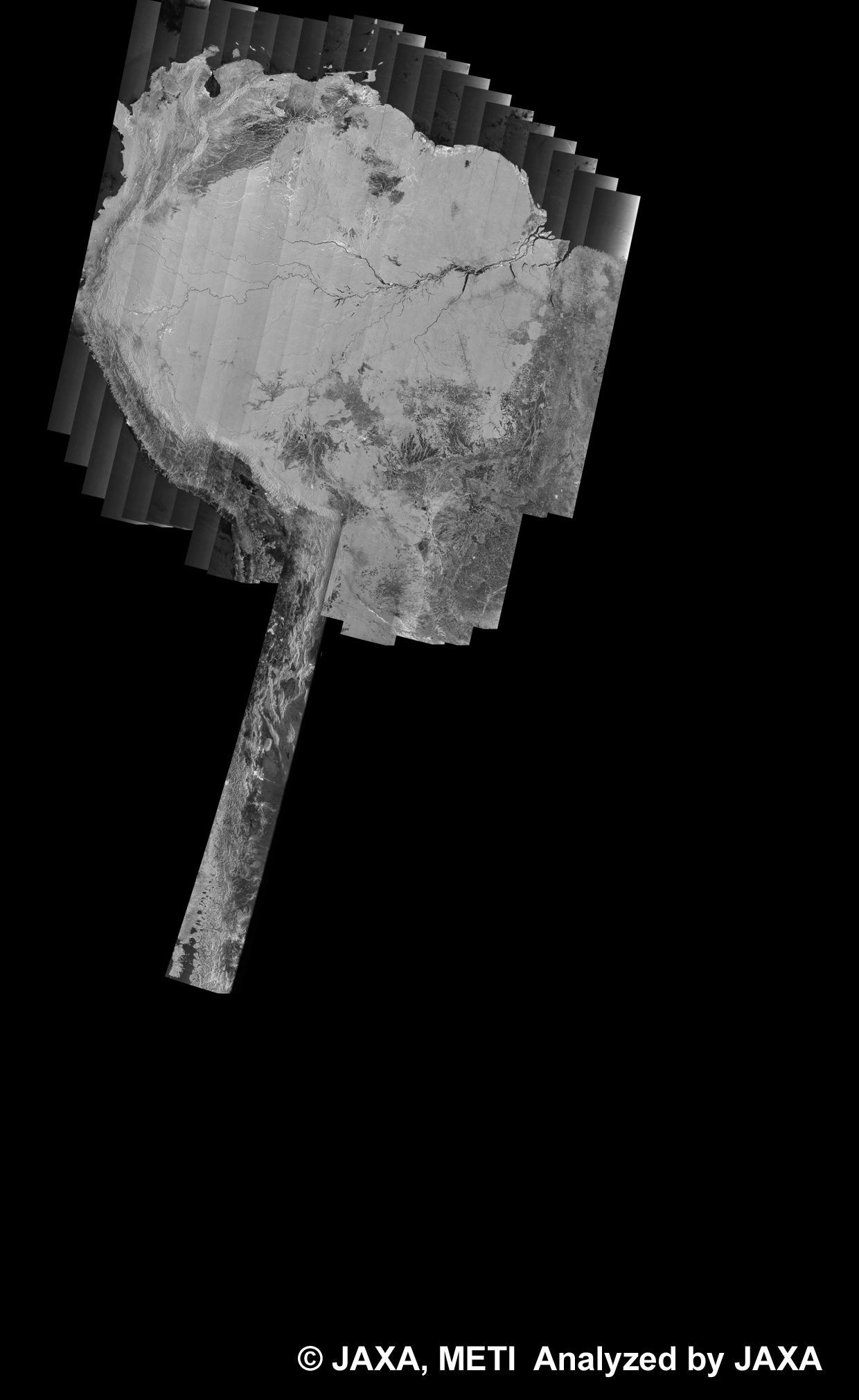 図15: 37回帰のPALSAR観測による南米500m(WB1/HH)ブラウズモザイク
