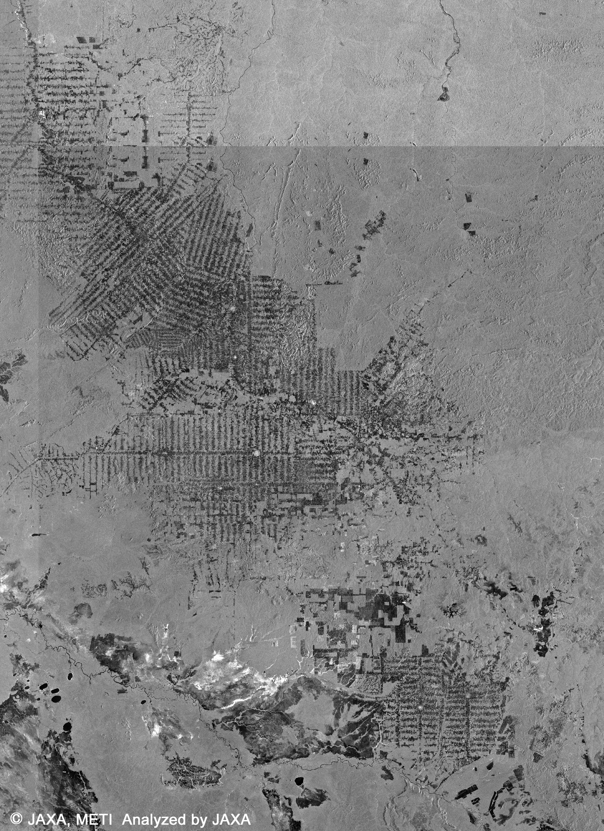 図3: 高分解能アマゾンモザイク画像(420km四方) 1995年のJERS-1 SARモザイク
