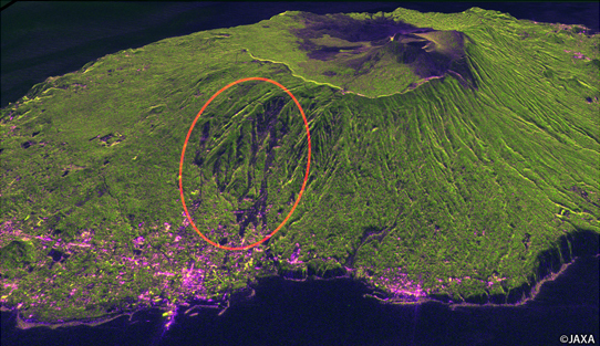 図3: 「だいち2号」搭載PALSAR-2による伊豆大島の観測画像