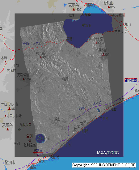 図3: 北海道白老町近くのPALSARオルソ画像と地図の重ね合わせ