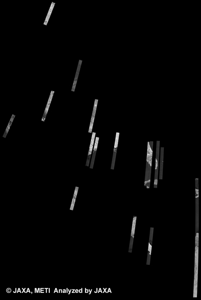 図14: PALSAR観測による34回帰(2010年3月15日〜2010年4月29日)の北米500m(FBS/HH)ブラウズモザイク