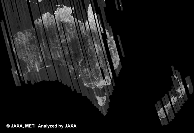 図5: PALSAR観測による41回帰(2011年1月31日〜2011年3月17日)のオーストラリア500m(FBS/HH Ascending)ブラウズモザイク