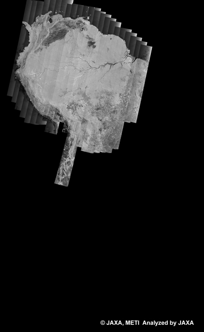 図11: PALSAR観測による41回帰(2011年1月31日〜2011年3月17日)の南米500m(WB1/HH Descending)ブラウズモザイク