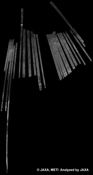 図12: PALSAR観測による41回帰(2011年1月31日～2011年3月17日)のシベリア500m(FBD/HH Ascending)ブラウズモザイク
