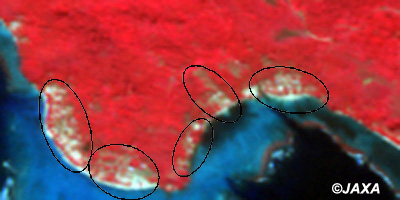 被災後:AVNIR-2フォールスカラー画像による平成19年4月8日観測のソロモン諸島・ギゾ島南部
