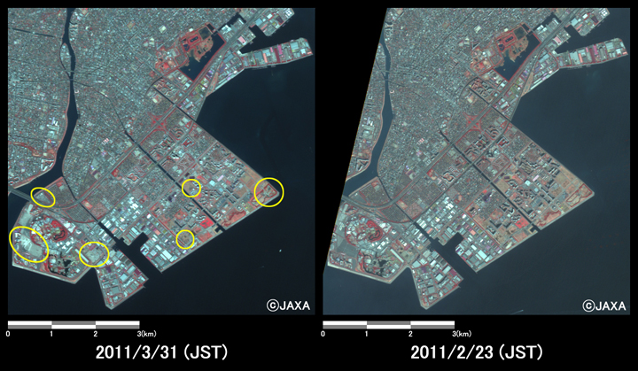 }8:ϑZpquvڃZTAAuj[Ec[ŊϑꂽtYs̗lq(7km~7km̃GAA}: nk2011N331AE}: nkO2011N223)