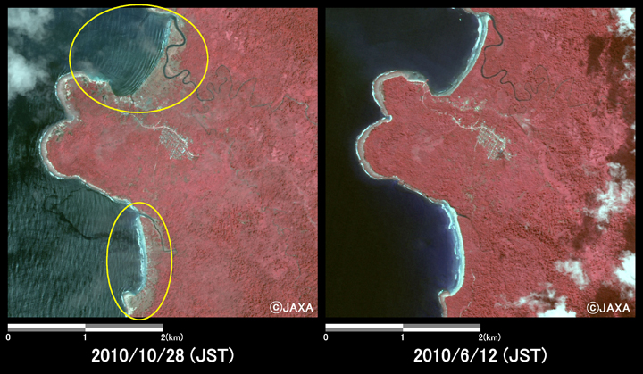 }3:pKCݕ̗lq2(ꂼ4km~4km̃GA)BFЊQ(2010N1028)AEFЊQO(2010N612)