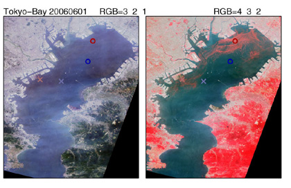 2006年6月1日にAVNIR-2が観測した東京湾の赤潮