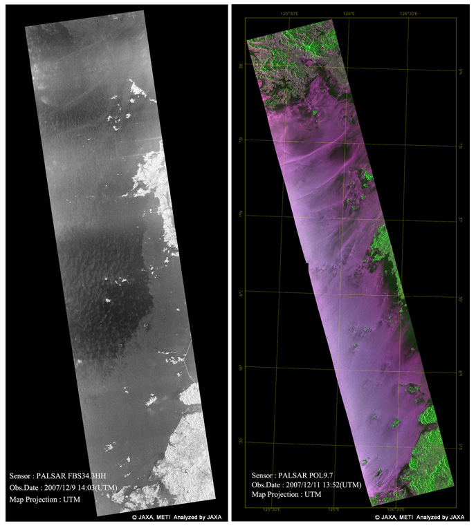 }1:2007N127Ɋ؍ECŔA^^J[̏Փˎ̂ɂ錴oPALSAR摜B) 2007N129ϑ̍[hAE) 1211ϑ̃|gJ[摜 (:HHA:HVA:VV)