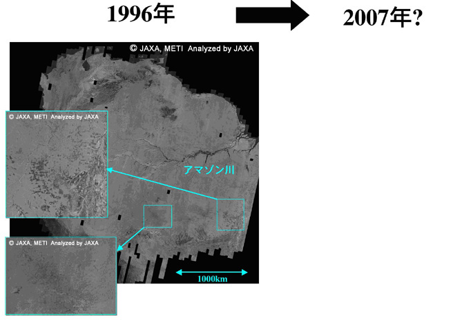 図3:1996年にふようSARで取得されたアマゾンの画像。図中の黒い部分はデータ取得ができなかった場所。拡大部分は、森林伐採がよく行われている場所